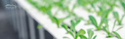 ESG Investing: Monitoring Doing Good for The Planet and Its Inhabitants