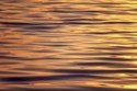 Finding Peace of Mind