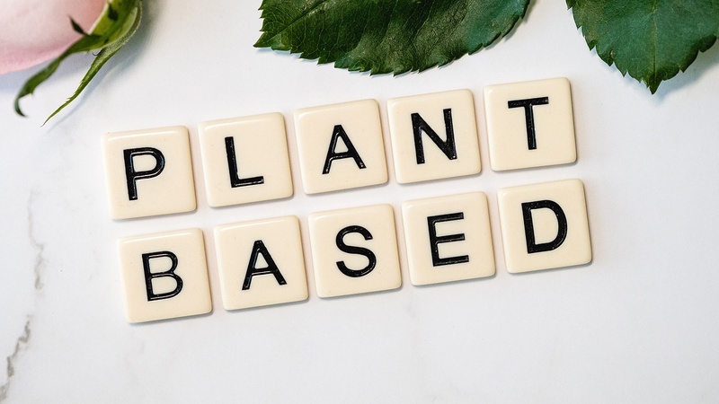 The Power of Plant Protein