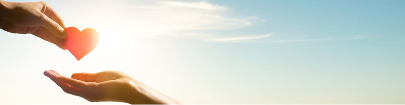 Streamline Your Charitable Giving with IRA Check Writing