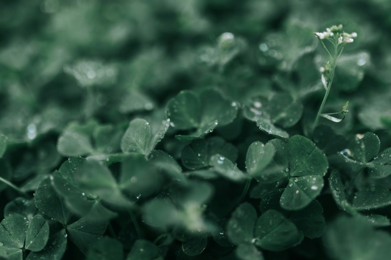 Luck All Around Us