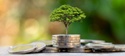 Unveiling the Secrets of Investment Strategies: A Comprehensive Guide to Building Wealth