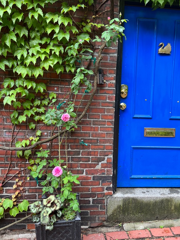 Easy to forget items for homeowners