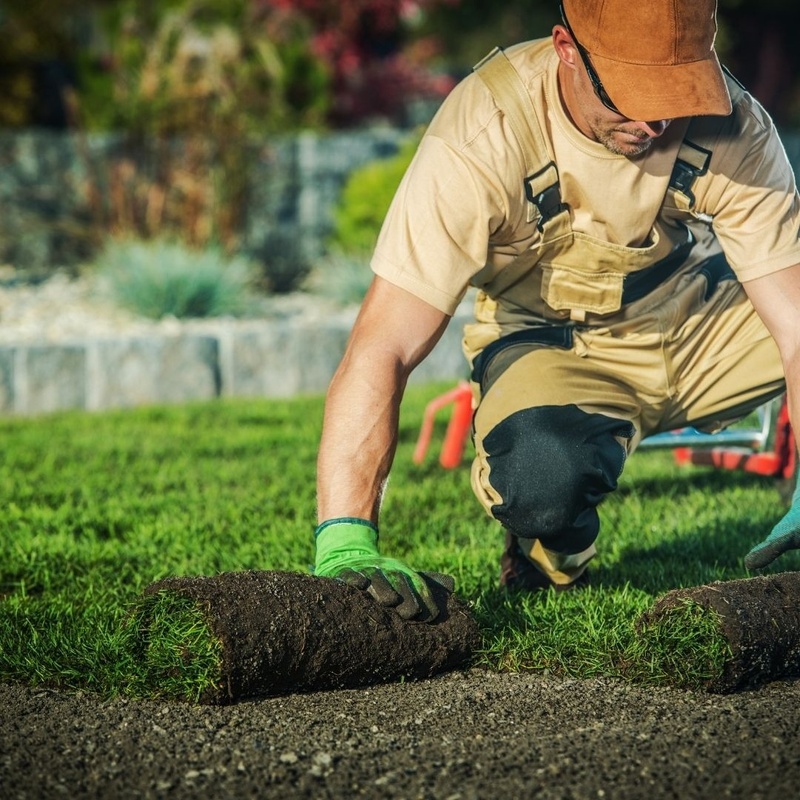 Insurance for Seasonal Businesses: What to Consider Before Opening for Summer