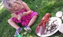 New England Festivals