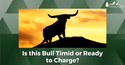 Is This Bull Timid or Ready to Charge?