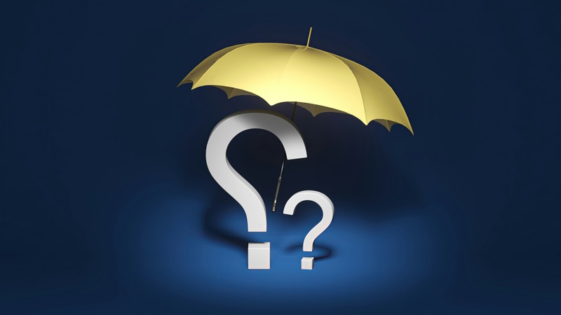 Safeguarding the Plan with Life Insurance
