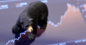 A Survival Guide for a Bear Market