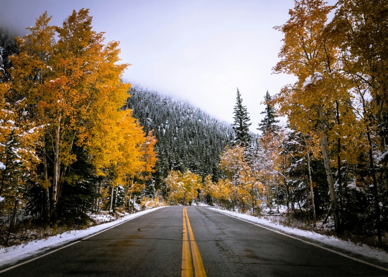 Lesser known feature of the 401(k) and 403(b) retirement plans