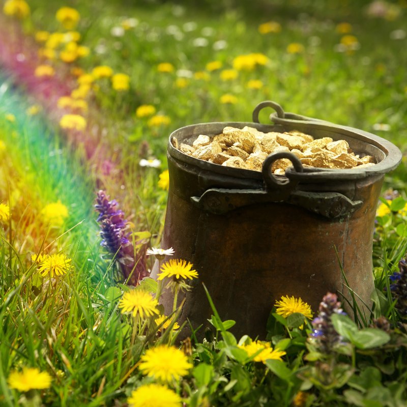A Leprechaun’s Guide to Investing