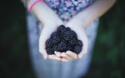 Tax Strategy: Tax Loss Harvesting