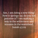 Isaiah 43:19