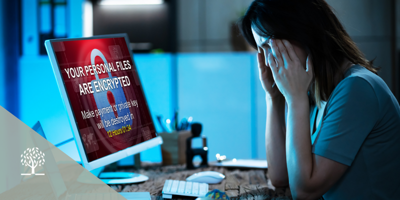 What to Do if Your Data is Compromised