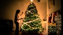 Oh Christmas Tree, Oh Christmas Tree: 5 Christmas Tree Facts