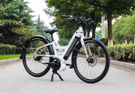 Do you Own an E-Bike?