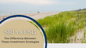 SRI Vs ESG: The Difference Between These Investment Strategies