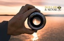 Rational Outlook Through the Lens of Freedman Financial