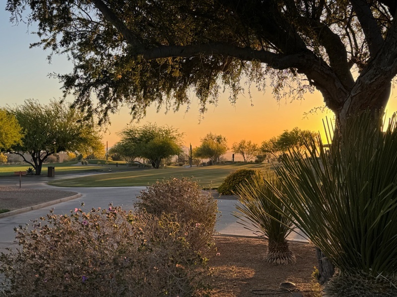 Insights, Innovation, and a Bit of Arizona Sunshine