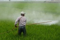 Pesticide Hazards in the Home