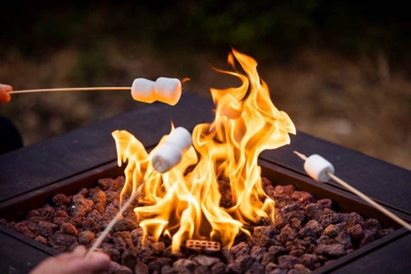 Rate Cuts, MN Text Scam, and Marshmallows