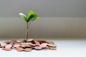 Traditional vs. Roth: What's the difference?