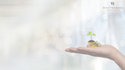 High Net-Worth Individuals: Are You Missing Opportunities in Your Financial Planning?