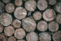 Why is Logging Insurance Important in Oregon?