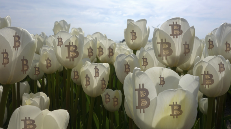 Bitcoin and the Tulip Mania of the 1600's.