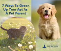 7 Ways To Green Up Your Act As A Pet Parent