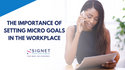 The Importance of Setting Micro Goals in the Workplace