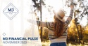 November 2023 Financial Pulse