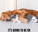 Why it's going to be OK (hope inside)