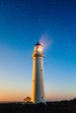 3 Shrewd Maneuvers in a Down Market