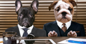 How Many Retirement Plan Committees Does Your Organization Need?
