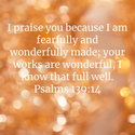 Psalms 139:14