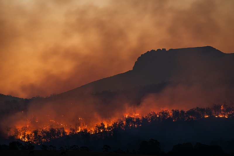 Top Home Insurance Concerns for Idaho Homeowners: From Snow to Wildfires