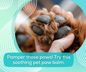Soothing Pet Paw Balm