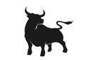 Are We in a Bull Market?