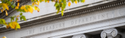 What You Need to Know About the Latest Treasury Regulations
