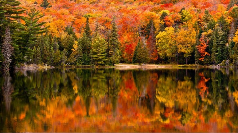 'Tis the season of Gratitude… and Vigilance