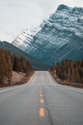 Stocks' Road Ahead