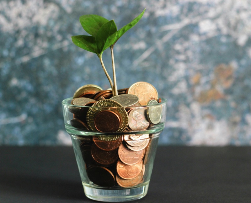 From Frugality to Financial Guidance: My Journey to Becoming a Financial Advisor