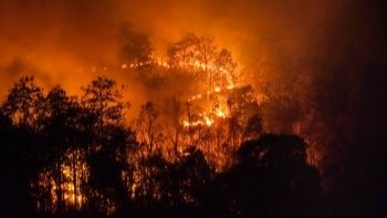 The Future of Insurance in a Changing Climate