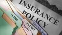 WILDFIRE PREPARATION AND INSURANCE TIPS