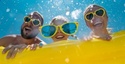 Get Off to a Great Summer Start