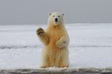 3 things to consider during a Bear Market