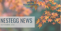 NestEgg News November 2023