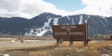 What's The Buzz - Jackson Hole