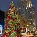Holiday Spirit in the Central West End