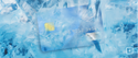 The Optimal Reaction to a Data Breach: Implementing a Credit Freeze